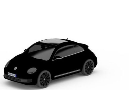 Volkswagen New Beetle Car