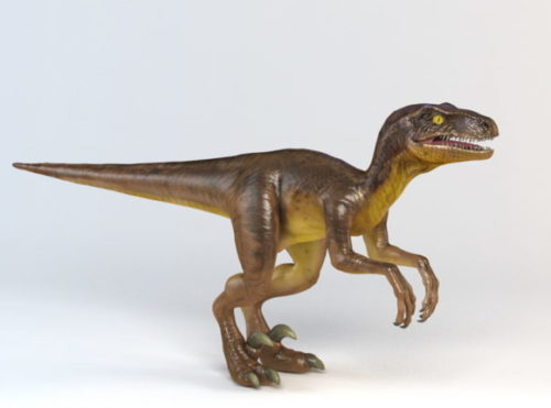Velociraptor Dinosaur Animal