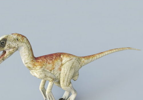 Dinosaur Velociraptor Raptor