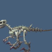 Animal Velociraptor Skeleton V1