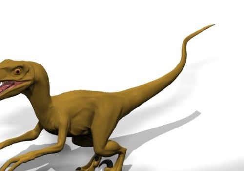 Velociraptor Dinosaur Animals