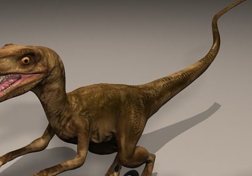 Velocisaurus Dinosaur