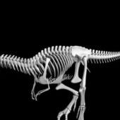 Dinosaur Skeleton Walking Rigged Animated