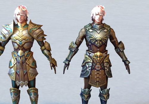 Warrior Character Armor Sets