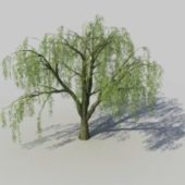 Weeping Willow Green Tree V1