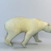Animal White Bear