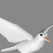 White Dove Animalflying