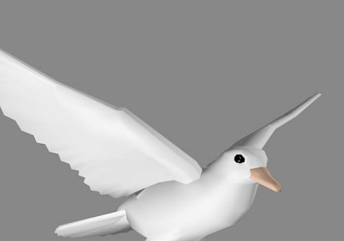 White Dove Animalflying