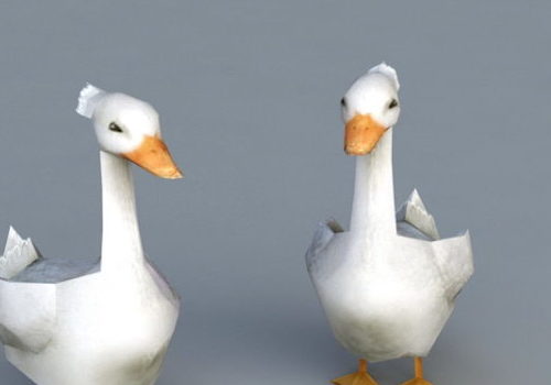 White Ducks | Animals
