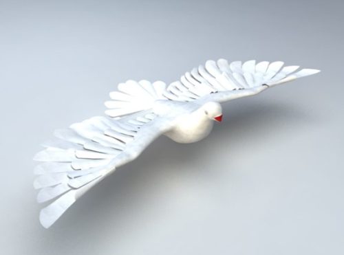 White Pigeon Animal Animated Rigged