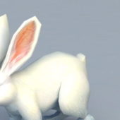 Cute White Rabbit Character