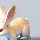 White Rabbit | Animals