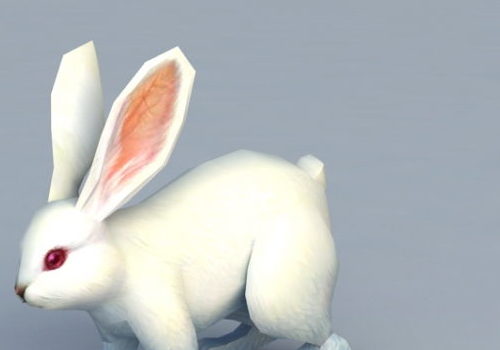 Cute White Rabbit Character