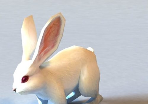 White Rabbit | Animals
