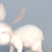 White Rabbit Cartoon | Animals