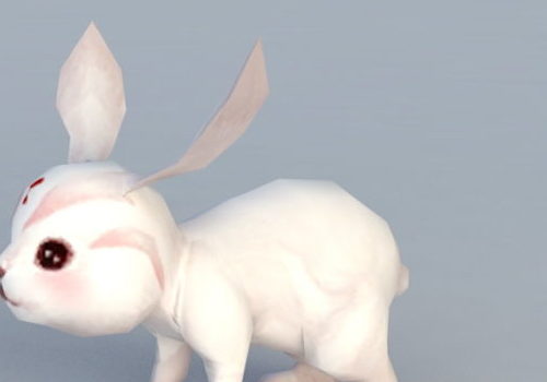 White Rabbit Cartoon | Animals