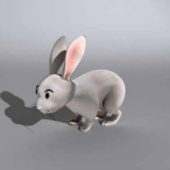 Animal White Rabbit