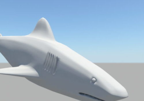 White Sea Shark