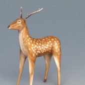 White Spotted Deer Animal