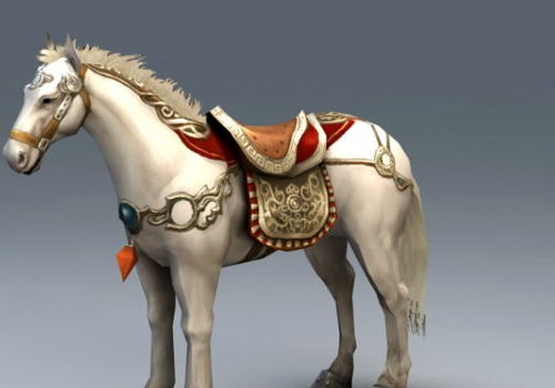 White War Horse Animal