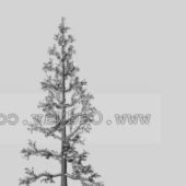 Nature White Cedar