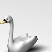 Lake White Swan Animals