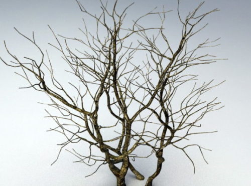 Nature Withered Tree