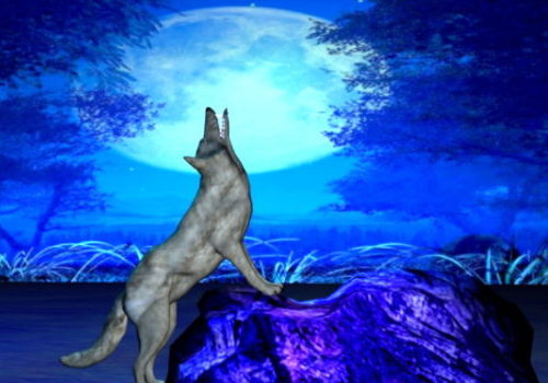 Wild Animal Wolf Moon