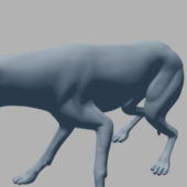 Wolf Lowpoly Animal