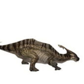 Wuerhosaurus Dinosaur Animals