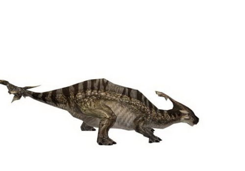 Wuerhosaurus Dinosaur Animals