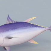 Fin Tuna Fish
