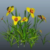 Nature Yellow Flower Grass