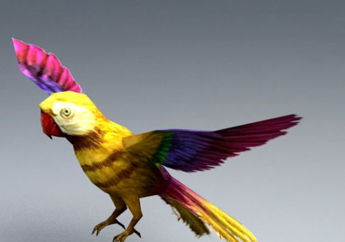 Yellow Parrot Animal