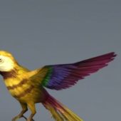 Yellow Parrot Bird Animal