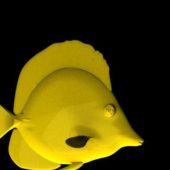 Aquarium Yellow Tang Fish