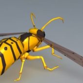 Wild Yellow Wasp