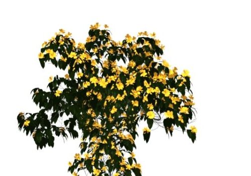 Yellow Blossoms Tree