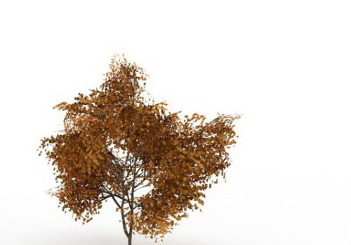 Nature Autumn Yellow Tilia Tree