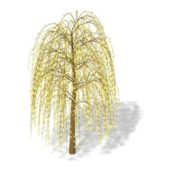 Nature Yellow Weeping Tree
