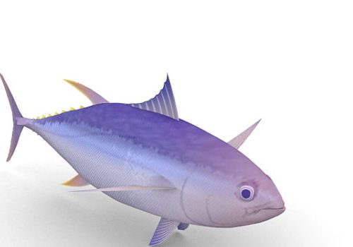 Fish Yellowfin Tuna Animals