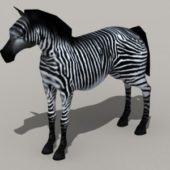 Zebra Wild Horse | Animals