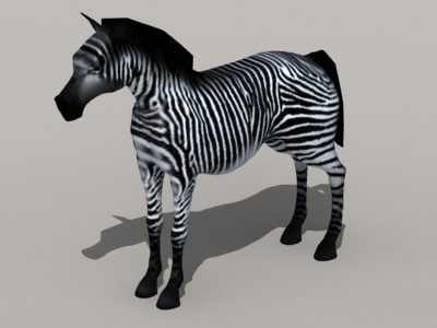 Zebra Wild Horse | Animals