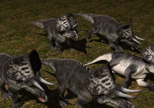 Zuniceratops Dinosaur Animal