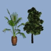 Two Tree Plant Pot Set
