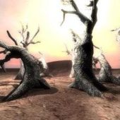 Dead Tree On Dry Land