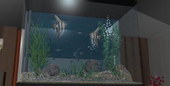 Fish In Aquarium With Mini Landscape