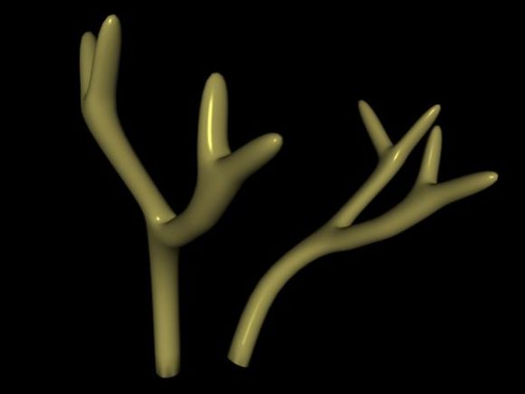 Antlers Animal Horn