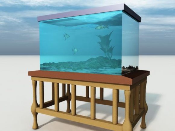 Glass Aquarium On Stand