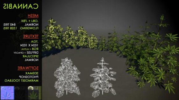Tree Cannabis Set